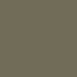 EVOLUTION - TINY TITAN - MEN'S T-SHIRT - MILITARY GREEN - 6QSM3B Design